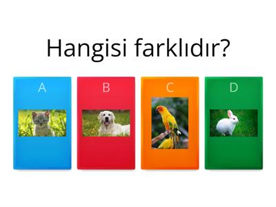 anasınıfı