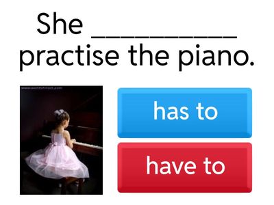 Have to/has to +, -, ?