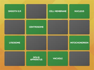 ORGANELLE FUSION