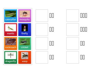 人04A08 蝴蝶的家 常见昆虫 词汇