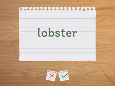 Food Speakout Pre-int