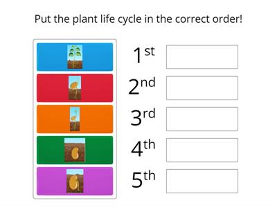 Plant Life Cycle