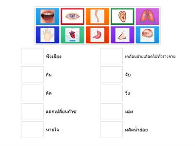 coding ร่างกายของฉัน