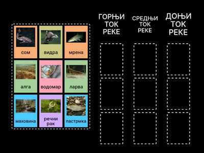 Водене животне заједнице - Река