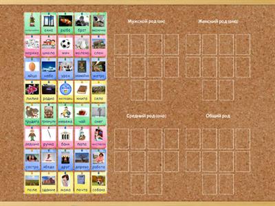 Род существительных