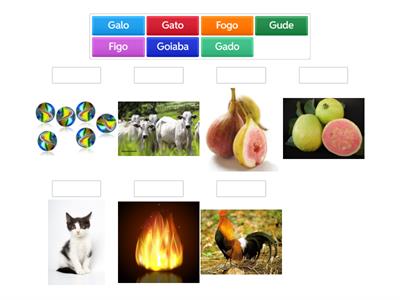 Palavras com ga go gu 