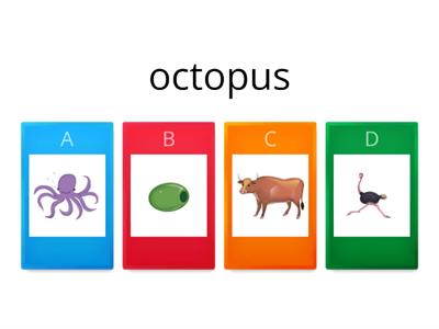 quiz Oxford Phonics Letter Oo