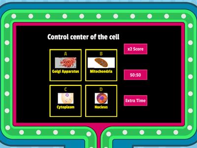 Cell Organelles 