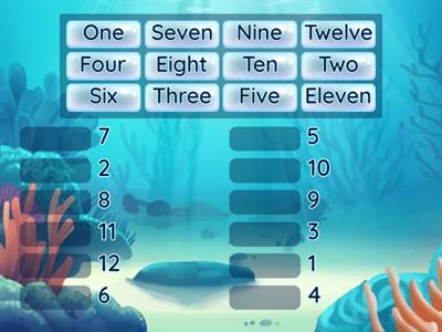 Numbers from 1 to 12