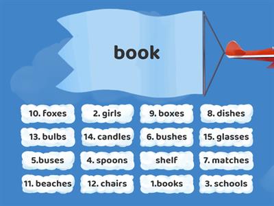 Grade 2- Singular - Plural