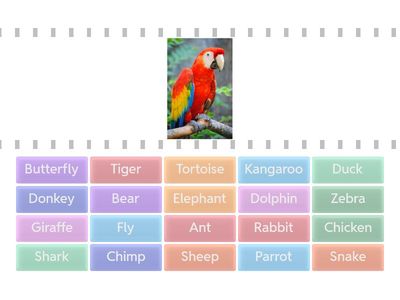 Evelīna/Liza-animals