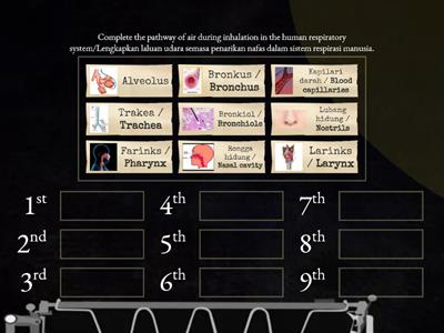 Science Form 3 - Respiration