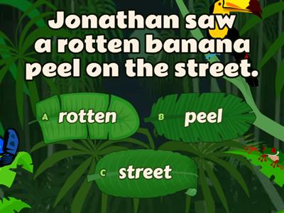 Direct Objects in English