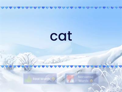 Real or Nonsense Words CVC