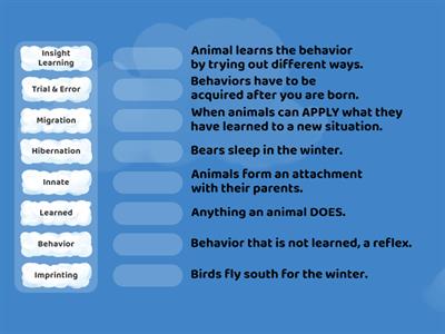 Animal Behavior Matching