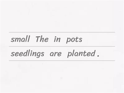 English B1 - Gardening in the Passive Voice