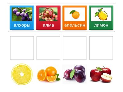 Жұмбақтар шешу.Жемістер бағына саяхат