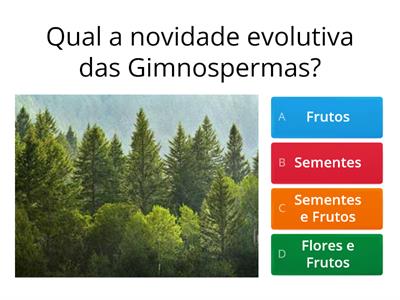 Gimnospermas: Características Gerais