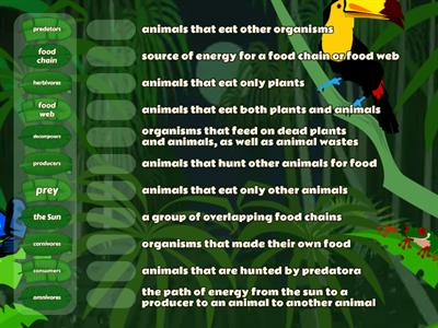 Food Webs Vocabulary