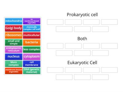  Prokaryotic cell vs Eukaryotic Cell