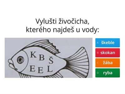 TEST: Ekosystém VODA