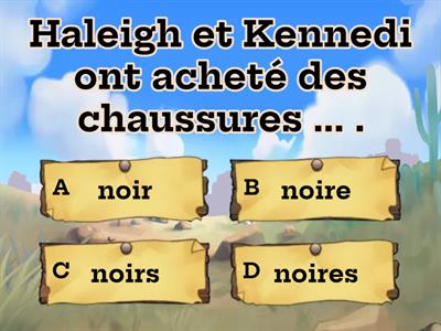 Chemins 2 - Contextes 1B - Les couleurs [accord des adjectifs]