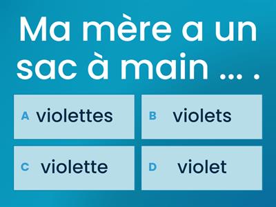 Chemins 2 - Contextes 1B - Les couleurs [accord des adjectifs]