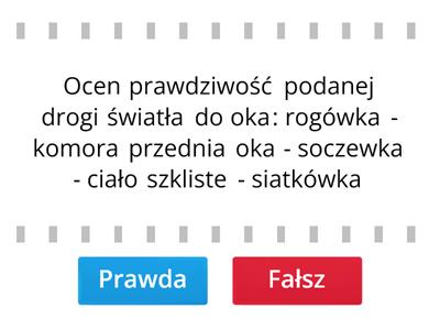 Człowiek