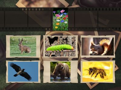 Урок №14 Найди пару