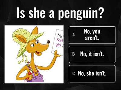  Be - questions and short answers