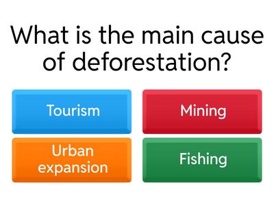  Environment Quiz
