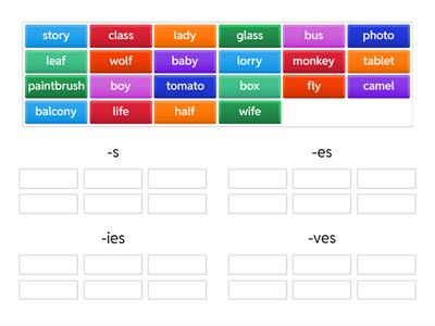 AS2 Unit 10 Plurals