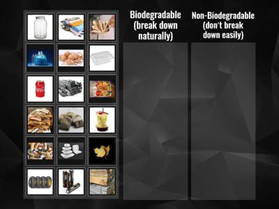Which items are biodegradable and which are not?