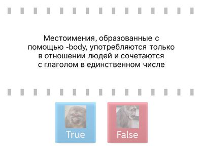 Form 6 Unit 3 ✨Pronouns ✨ Повышенный уровень 