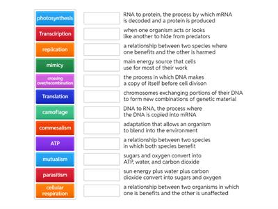 Bio SOL review 5