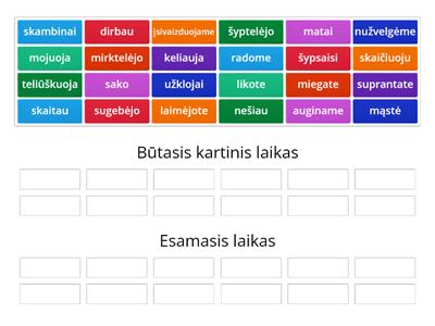 Veiksmažodis. Esamasis laikas. Būtasis kartinis laikas.