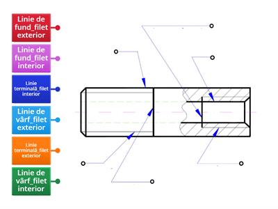 Reprezentare filete_linii vârf_fund_terminale