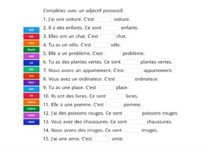 Les adjectifs possessifs 