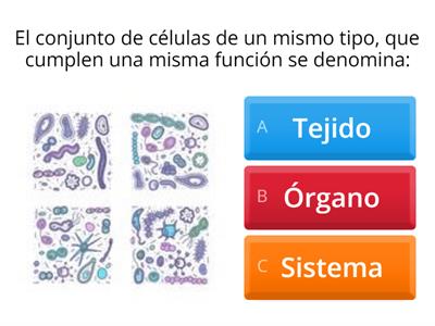 La célula y niveles de organización 