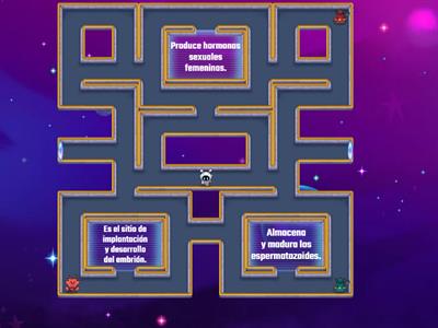 Aparatos reproductores