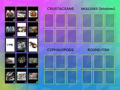 TLE 10GENESIS_TQE_TEST II_02142022