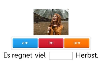 Ergänzen die Wörter