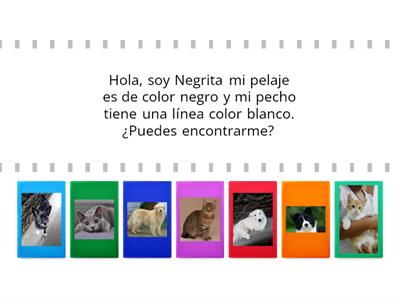 Identificar perritos y gatitos