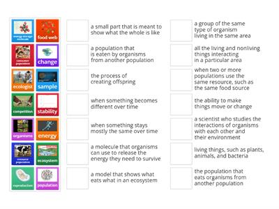 Populations and Resources Vocabulary 