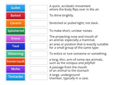 Year 7- Practice Vocabulary for GL tests