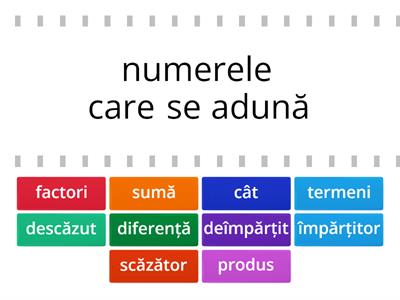 Terminologie matematică