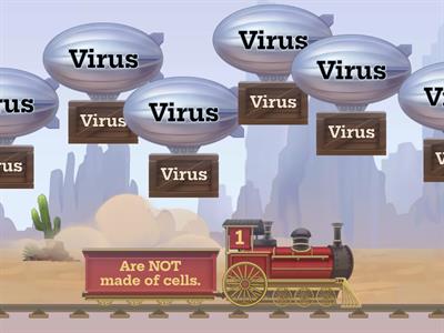 Bacteria and Viruses