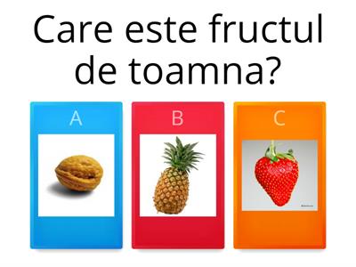 Fructe de toamna