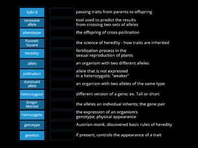 Mendel & Genetics Vocab 