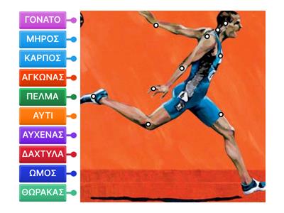 ΜΕΡΗ ΤΟΥ ΣΩΜΑΤΟΣ  Α' & Β' ΤΑΞΗ